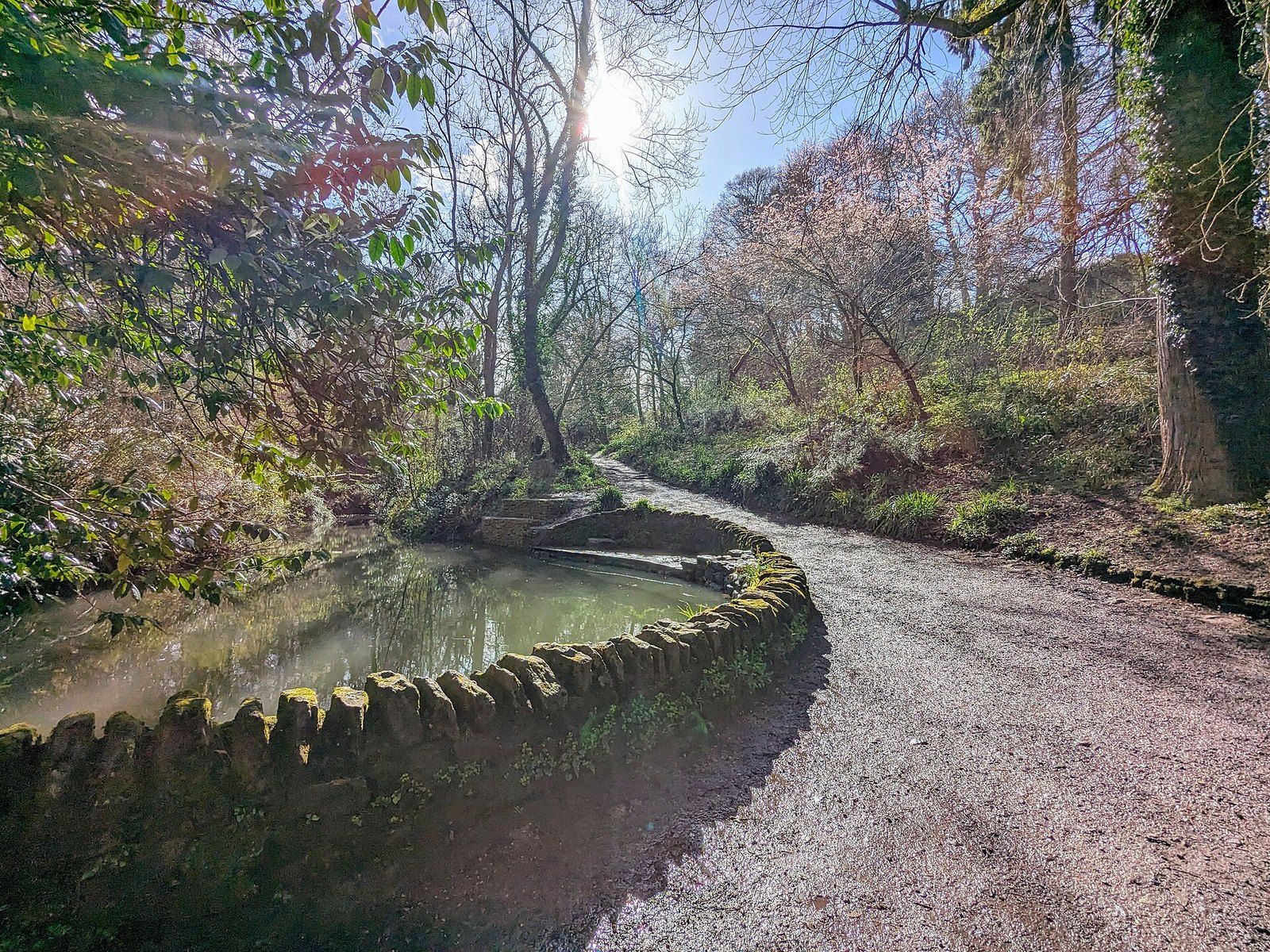 A path beside a stone-edged pond in Ninesprings Country Park, Yeovil
