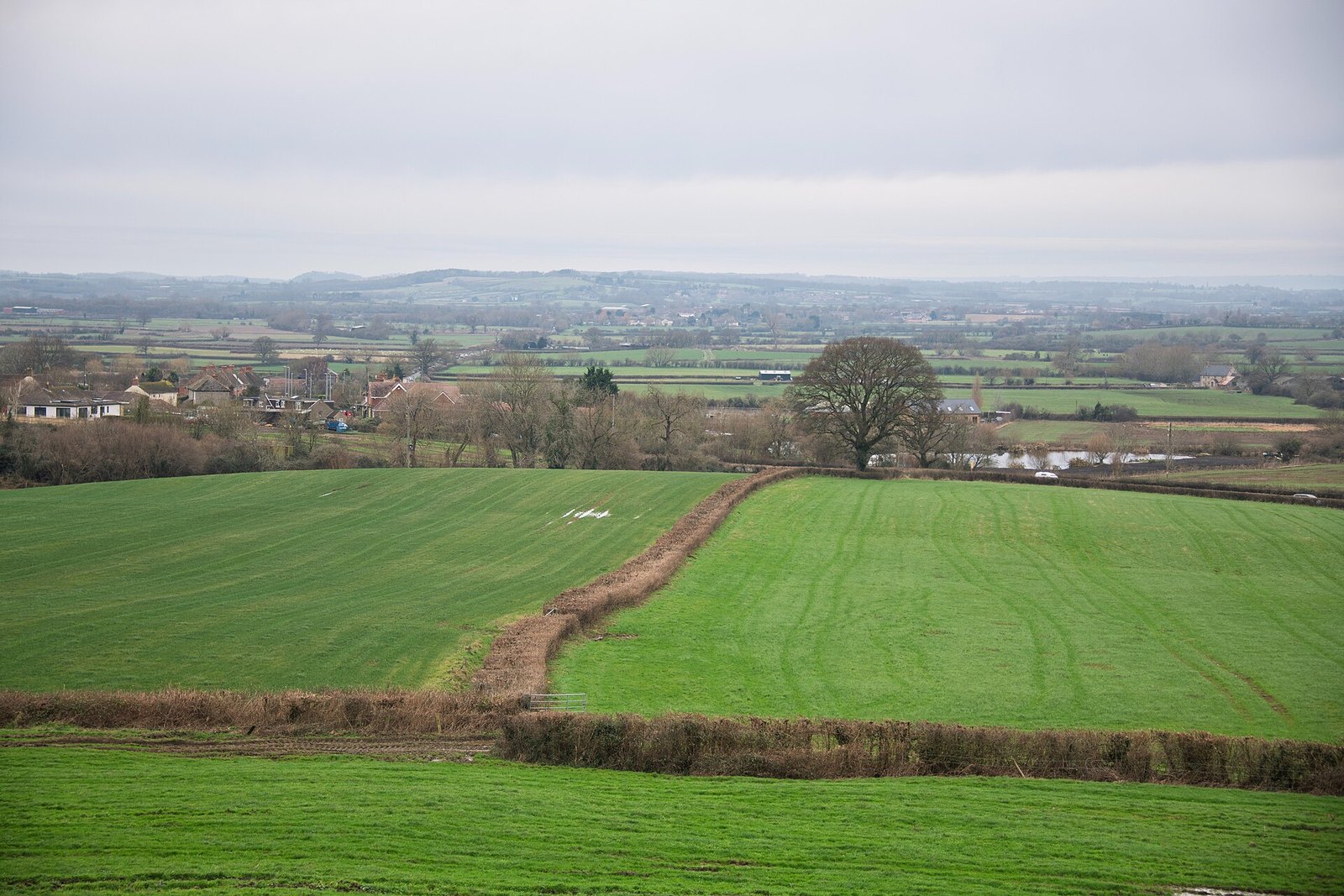 Green fields and a farm track in the countryside at Yeovil Without